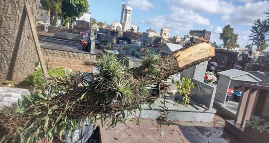 Prefeitura nega pagar por danos em túmulo