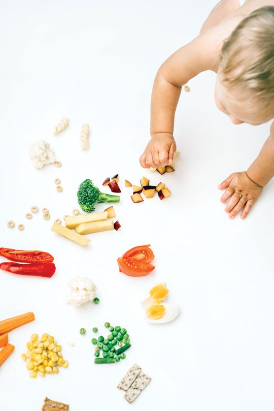 ALIMENTOS PROIBIDOS NA INTRODUÇÃO ALIMENTAR