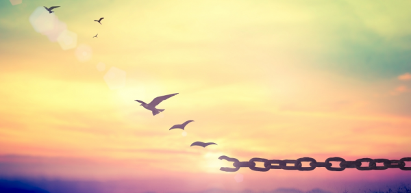 Perdão: a cura da alma