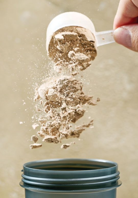 A FEBRE DA PROTEÍNA