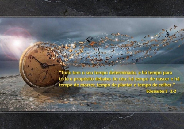 Tempo de plantar e tempo de colher