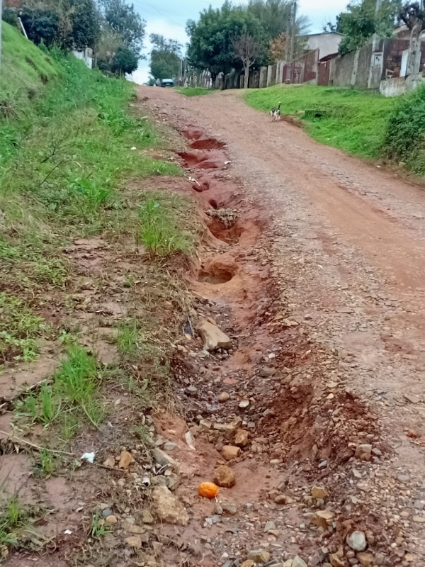 Morador pede solução para problemas na Rua Sebastião Pereira