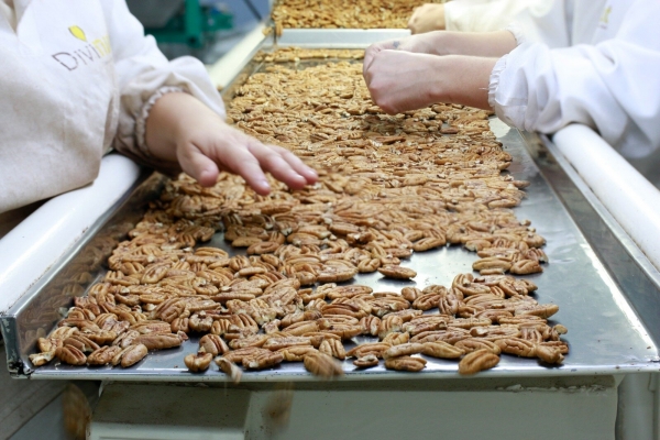 Divinut recebe parceiros neste sábado em Cachoeira do Sul