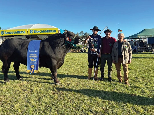Touro da Boa Esperança vence na Expointer