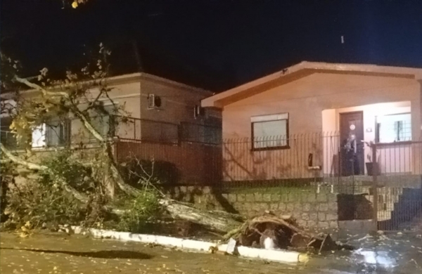 Temporal gera 40 ocorrências para a Defesa Civil 