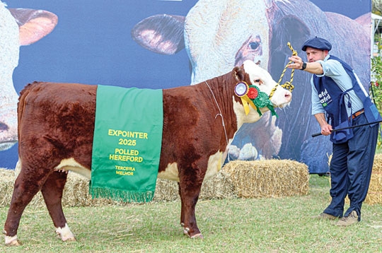 Fazendas Irapuá traz prêmio da Expointer