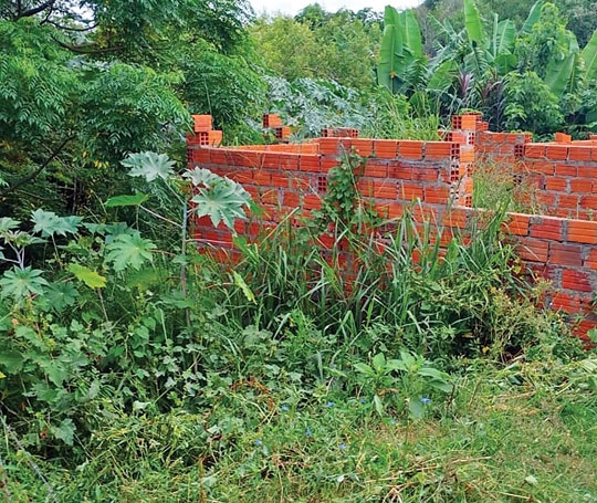 Câmara aprova nova lei de terreno baldio