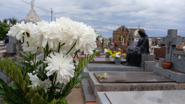 Homenagens, flores e calor marcam o Dia de Finados