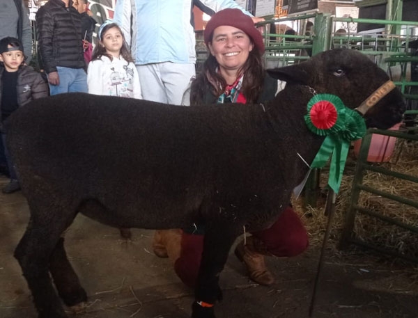 Borrego de Cachoeira do Sul é campeão na Expointer