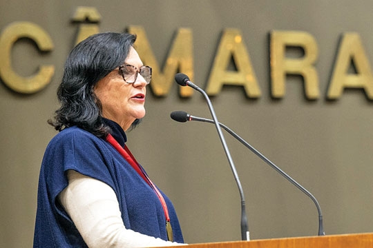 Rejane Penna Rodrigues é cidadã de Porto Alegre