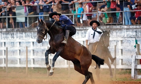Gineteada teve show de Arce