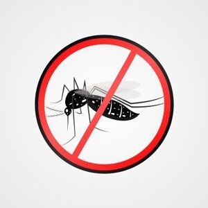 Mutirão da dengue chega ao Bairro Oliveira nesta quinta-feira