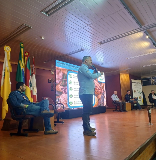 Cachoeira tem 20% do pomar de nogueiras do RS