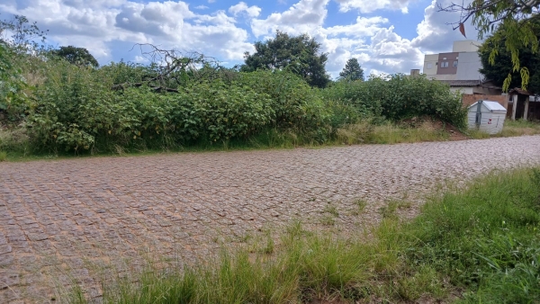 Moradora denuncia abandono de terrenos no Bairro Soares