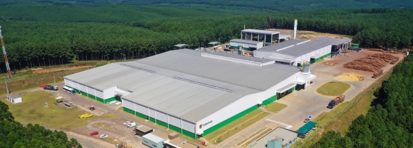 Todesmade supera a Screw e é a nova Nº 1 do VAF