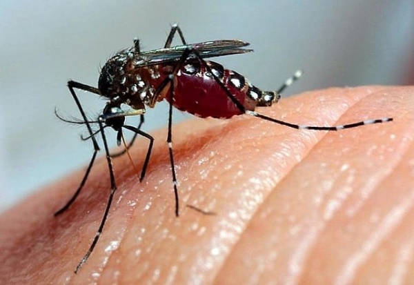 Mutirão da dengue vai ao Bairro Ponche Verde 