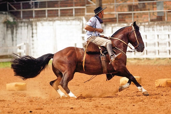 Cachoeira classifica 3 crioulos ao Freio