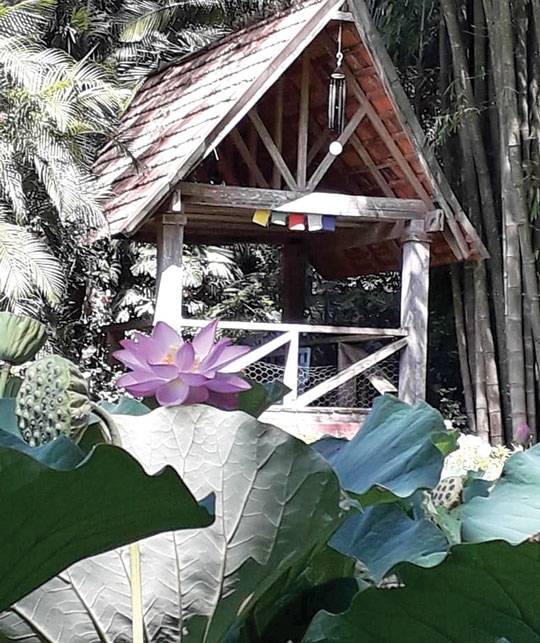 Cabrais dá aula