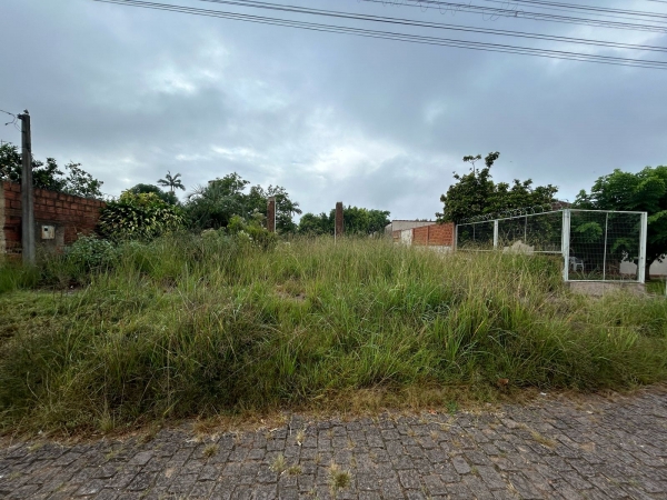 Terreno abandonado no Bairro Santo Antônio preocupa moradores 