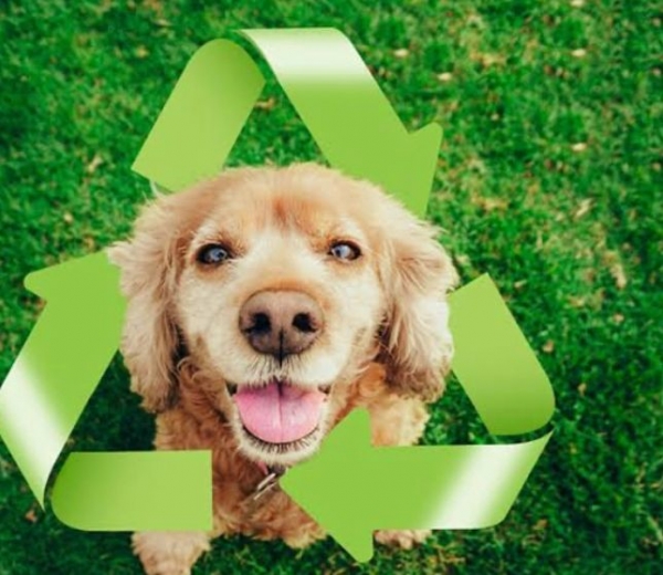 Eco-friendly: dicas sustentáveis para cuidar do seu pet