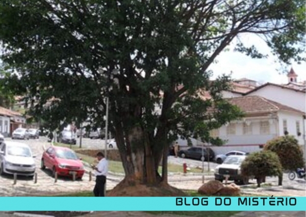 A gameleira de Diamantina