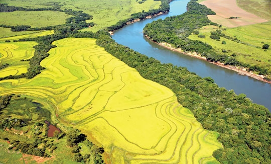 Veia de vida que cruza a cidade