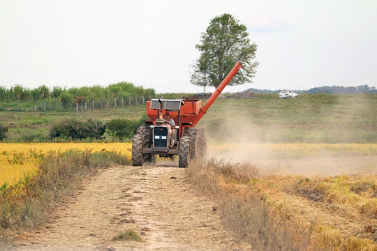 Prejuízo do campo vai a R$ 749 milhões