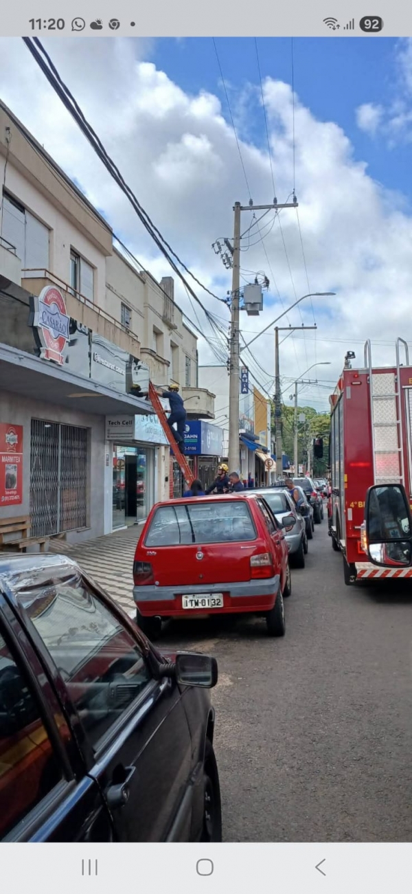 Gato é resgatado pelo Corpo de Bombeiros no Centro
