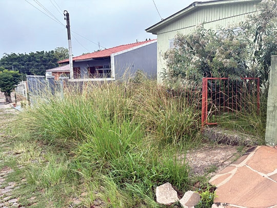 Lei inútil contra o matagal