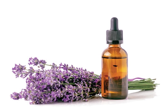 LAVANDA
