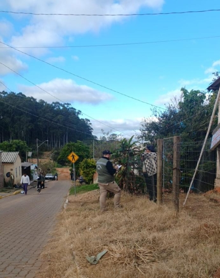 Prefeitura realiza  levantamento de animais em áreas de risco de inundação