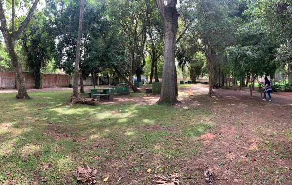 Bosque da SRB oferece oito churrasqueiras e espaço para lazer