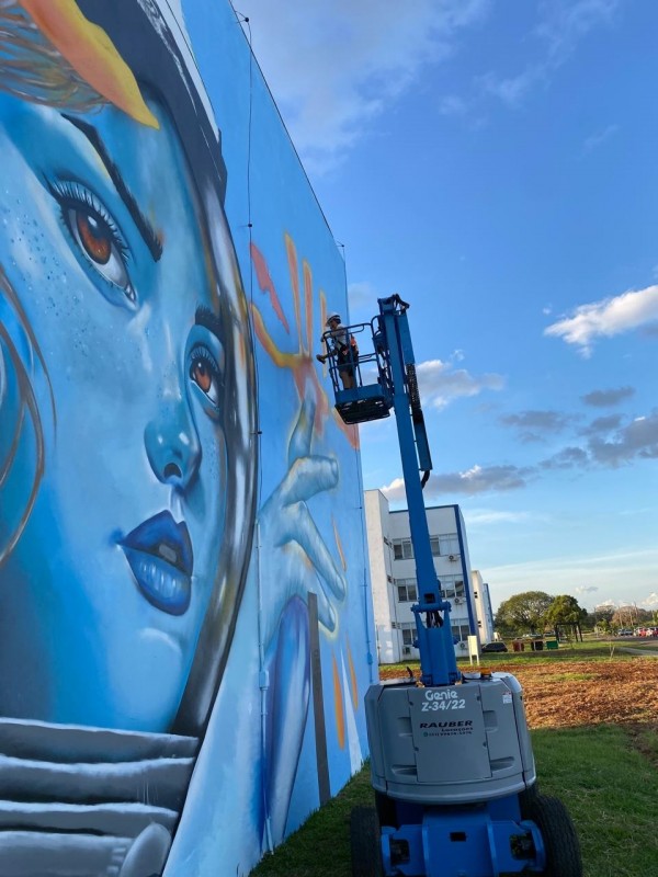 O artista teve que utilizar um andaime que era realocado conforme o andamento do trabalho. 