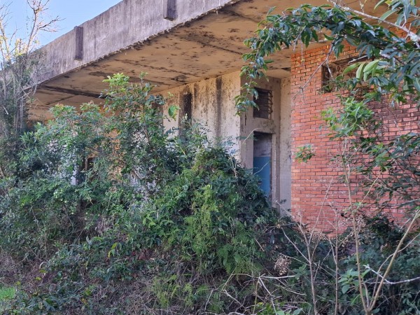 Matagal preocupa moradores